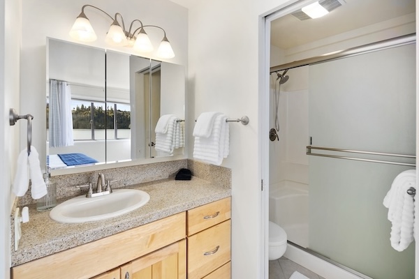 Master Bedroom Ensuite Bathroom